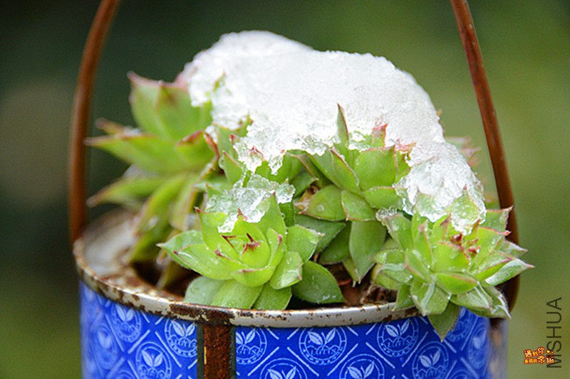 ��Ƭ 113_����.jpg