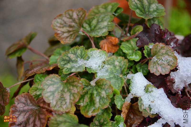 ��Ƭ 087_����.jpg