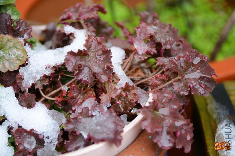 ��Ƭ 088_����.jpg