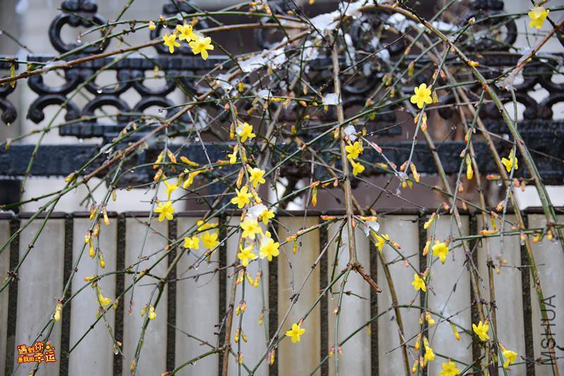 ��Ƭ 031_����.jpg