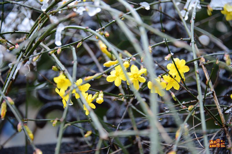 ��Ƭ 034_����.jpg