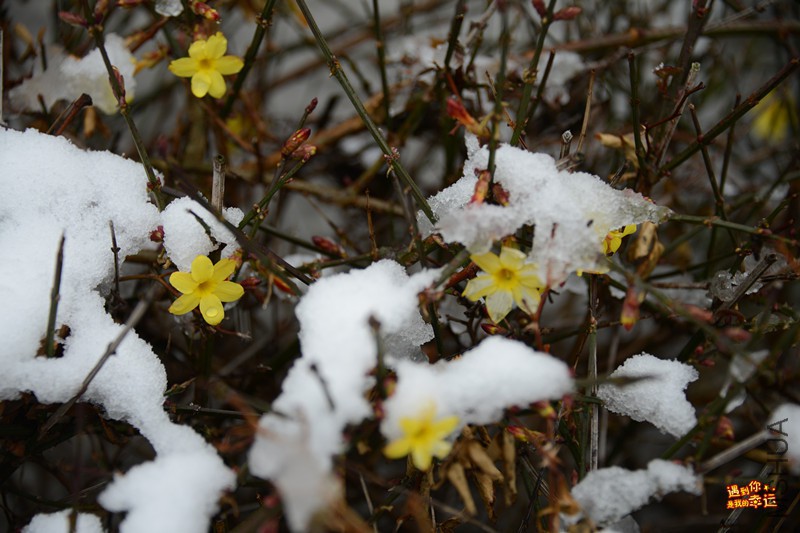 ��Ƭ 035_����.jpg