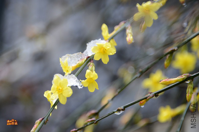 ��Ƭ 036_����.jpg