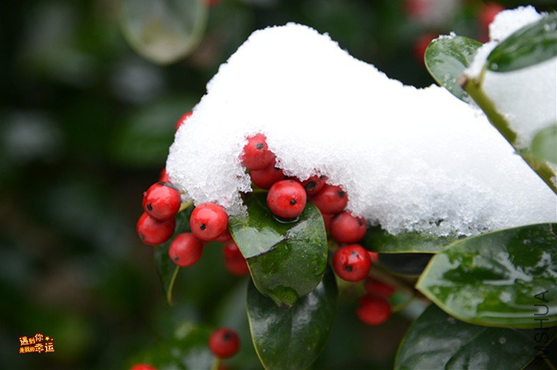 ��Ƭ 056_����.jpg