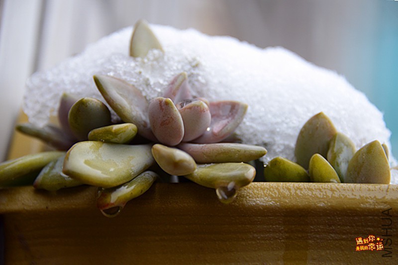 ��Ƭ 096_����.jpg