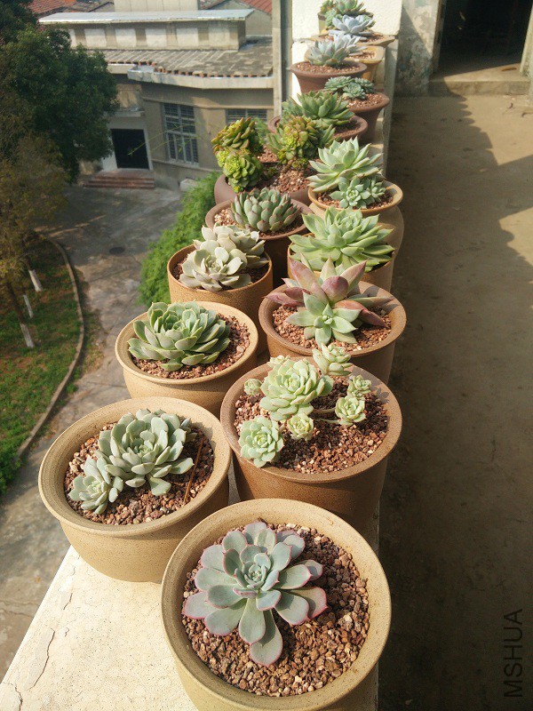 IMG20150929101927.jpg