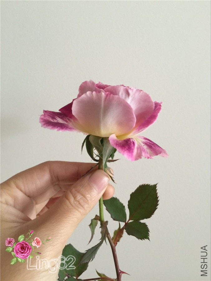 QQͼƬ20160123095629_����.jpg