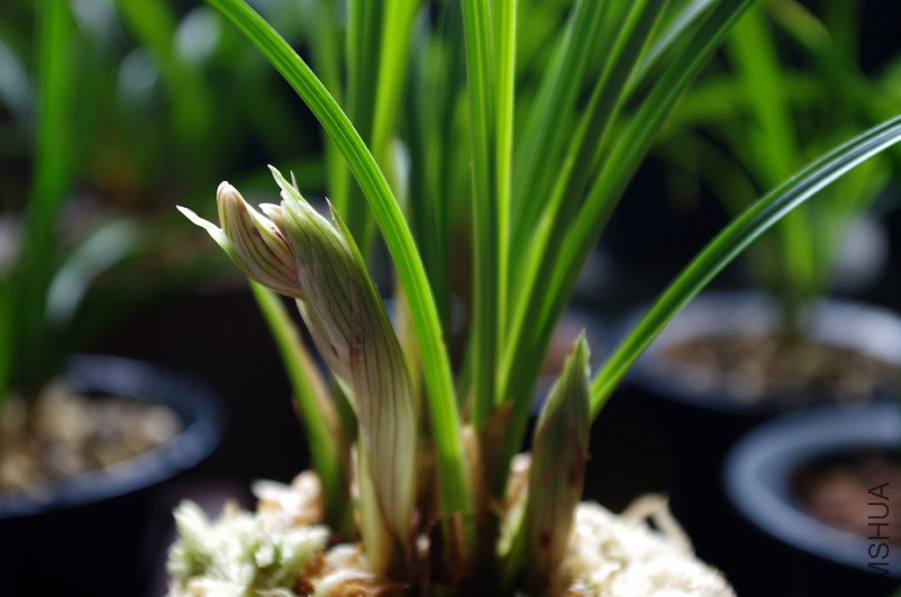 ��������Ԥ��һ�½�Ҫ���Ľ�������