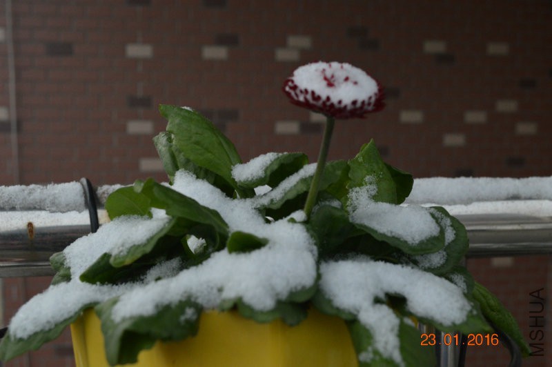 DSC_0096.JPG