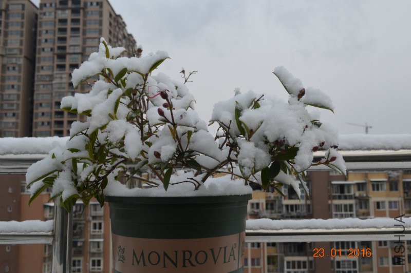 DSC_0084.JPG