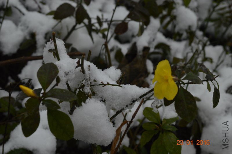 DSC_0176.JPG