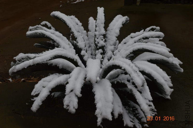 DSC_0165.JPG