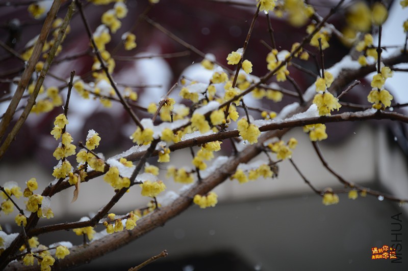 ��Ƭ 002_����.jpg