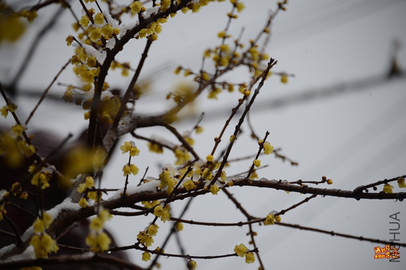 ��Ƭ 001_����.jpg