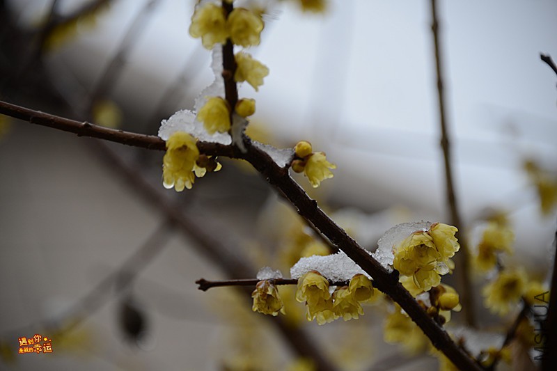 ��Ƭ 003_����.jpg