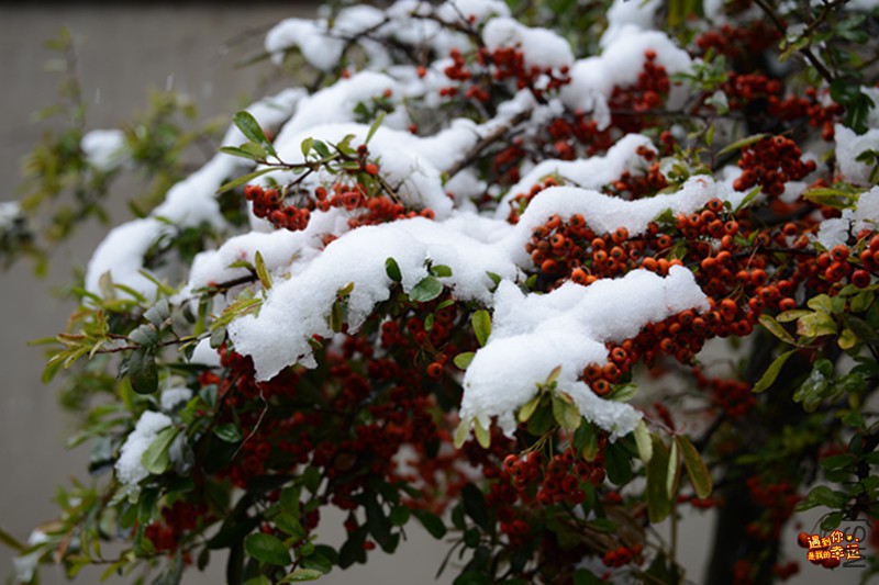 ��Ƭ 058_����.jpg