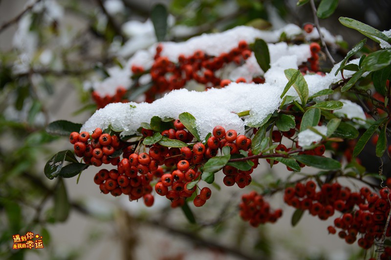 ��Ƭ 059_����.jpg