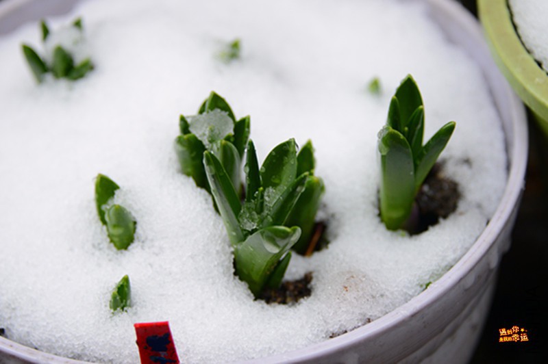 ��Ƭ 085_����.jpg