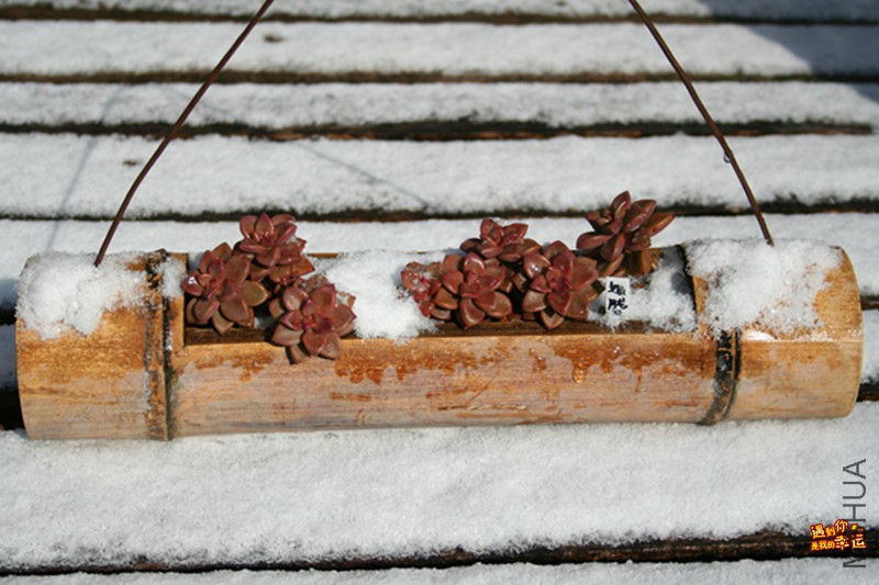 ��Ƭ 054_����.jpg