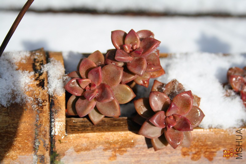 ��Ƭ 057_����.jpg