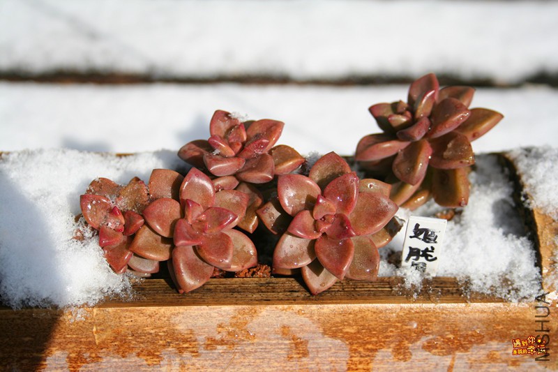 ��Ƭ 059_����.jpg