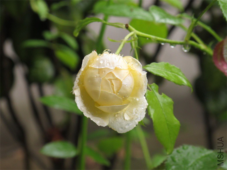 ��Ƭ 021_��ͼ��.jpg