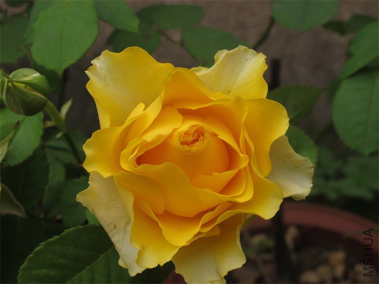 ��Ƭ 052_��ͼ��.jpg