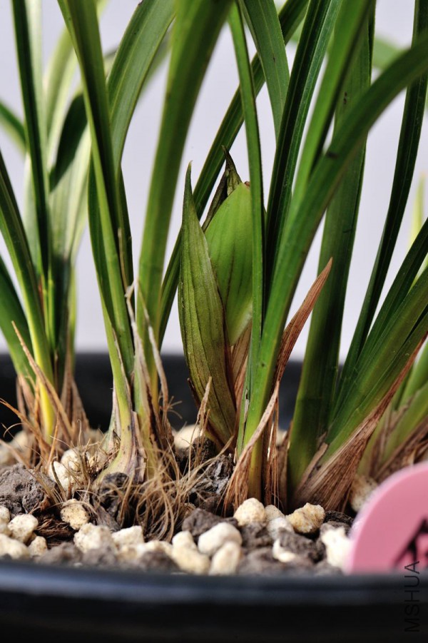 ���ǿ���ǰ�Ļ���