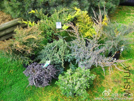 d18b509bgw1f09toeafn8j20rs0ku4hg (1).jpg