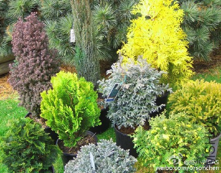 d18b509bgw1f09ttic9h1j20kq0gbtfk (1).jpg