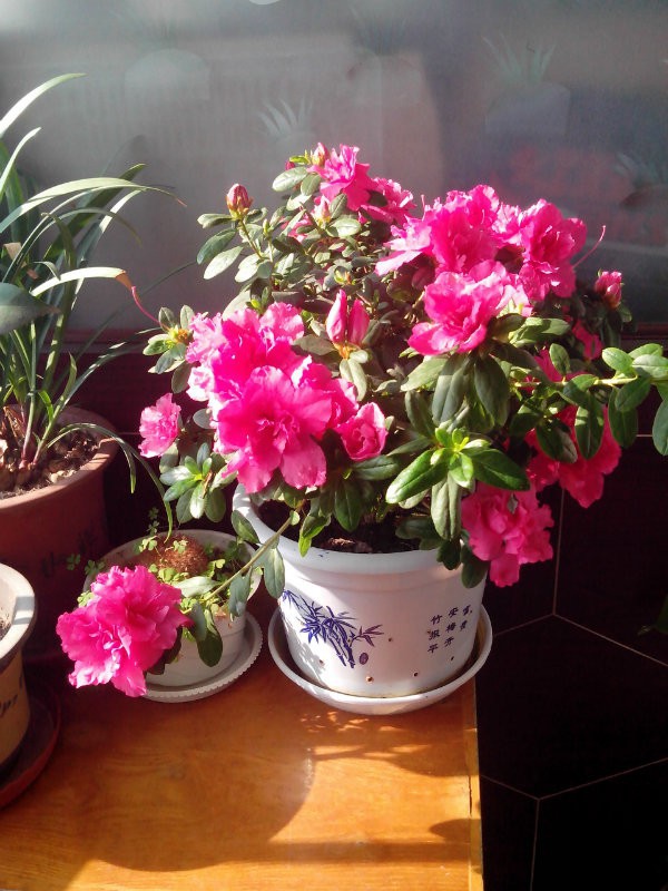 IMG_20160121_120117.jpg