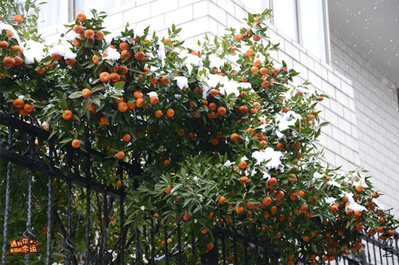 ��Ƭ 027_����.jpg