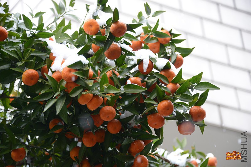 ��Ƭ 029_����.jpg