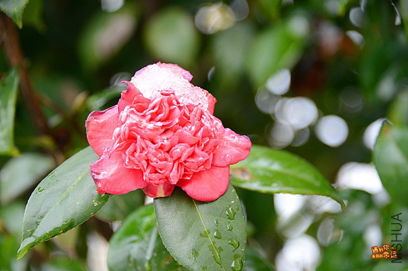 ��Ƭ 019_����.jpg