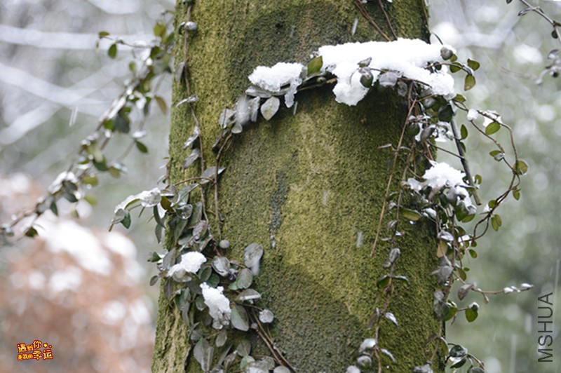 ��Ƭ 062_����.jpg