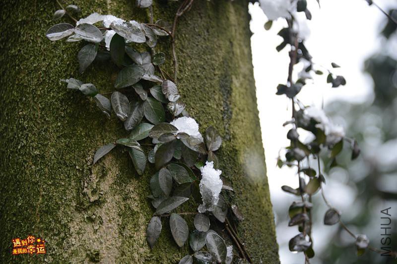 ��Ƭ 064_����.jpg