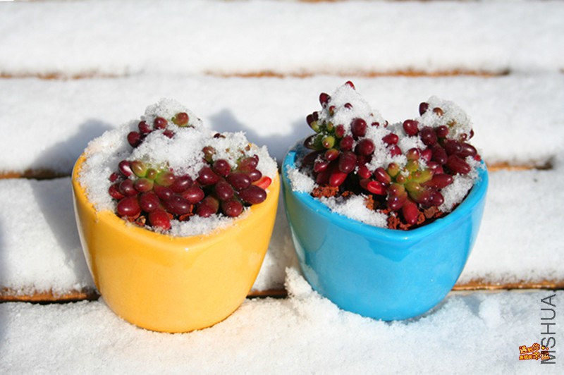 ��Ƭ 060_����.jpg