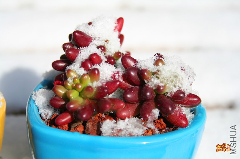 ��Ƭ 064_����.jpg