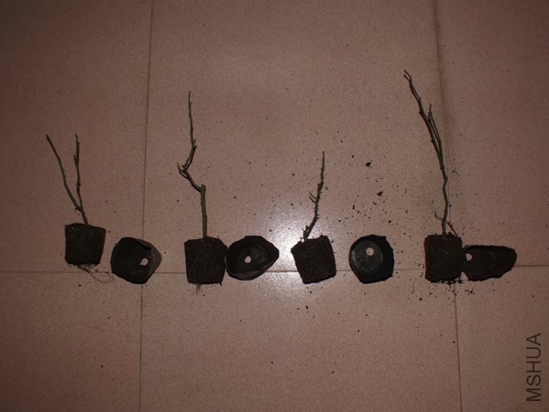 DSCF9273.JPG