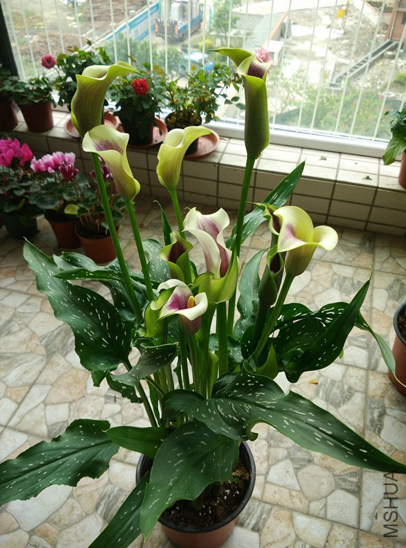 QQͼƬ20160125204044_����.jpg