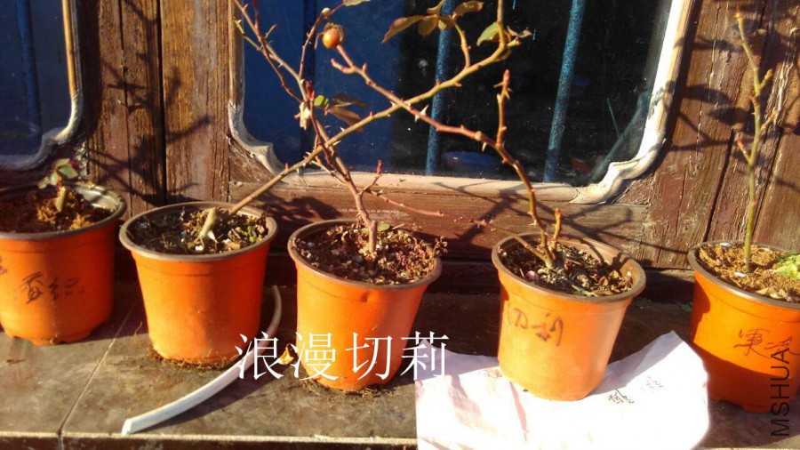 QQͼƬ20160125203946.jpg