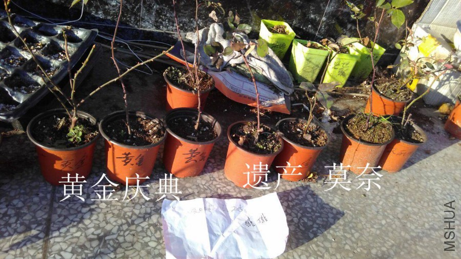 QQͼƬ20160125203949.jpg