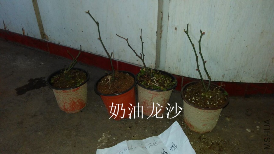 QQͼƬ20160125203959.jpg