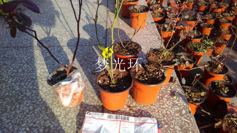 QQͼƬ20160125204005.jpg