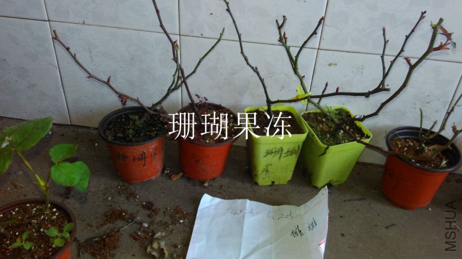 QQͼƬ20160125204008.jpg