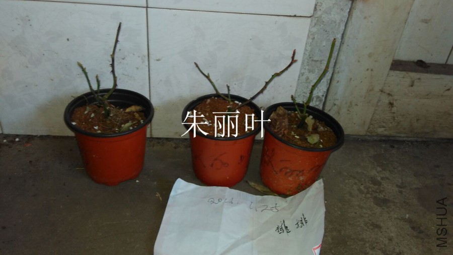 QQͼƬ20160125204011.jpg