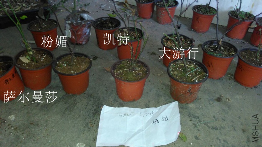 QQͼƬ20160125204014.jpg