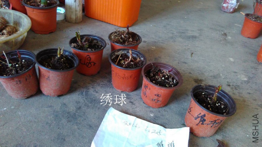 QQͼƬ20160125204017.jpg