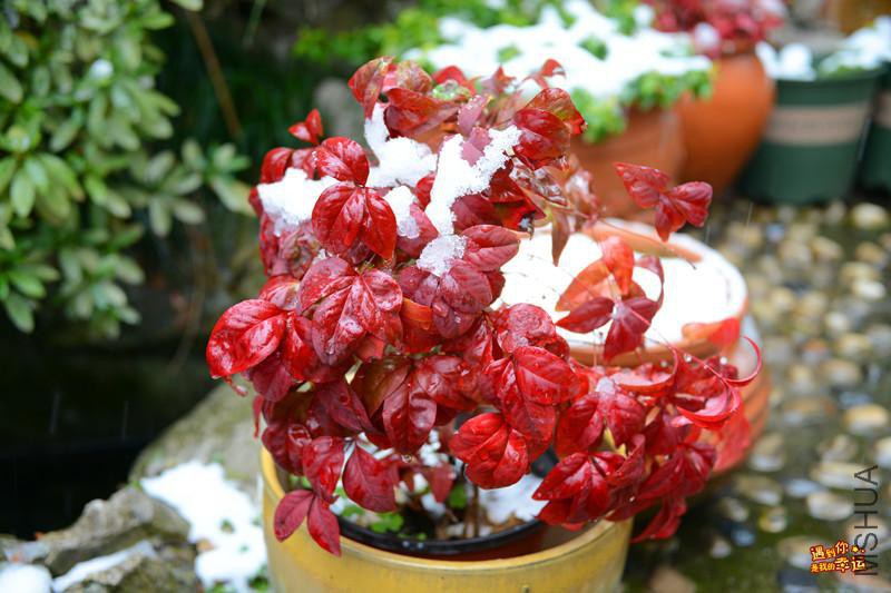 ��Ƭ 080_����.jpg