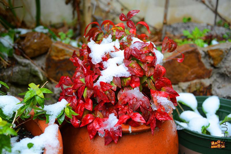 ��Ƭ 082_����.jpg